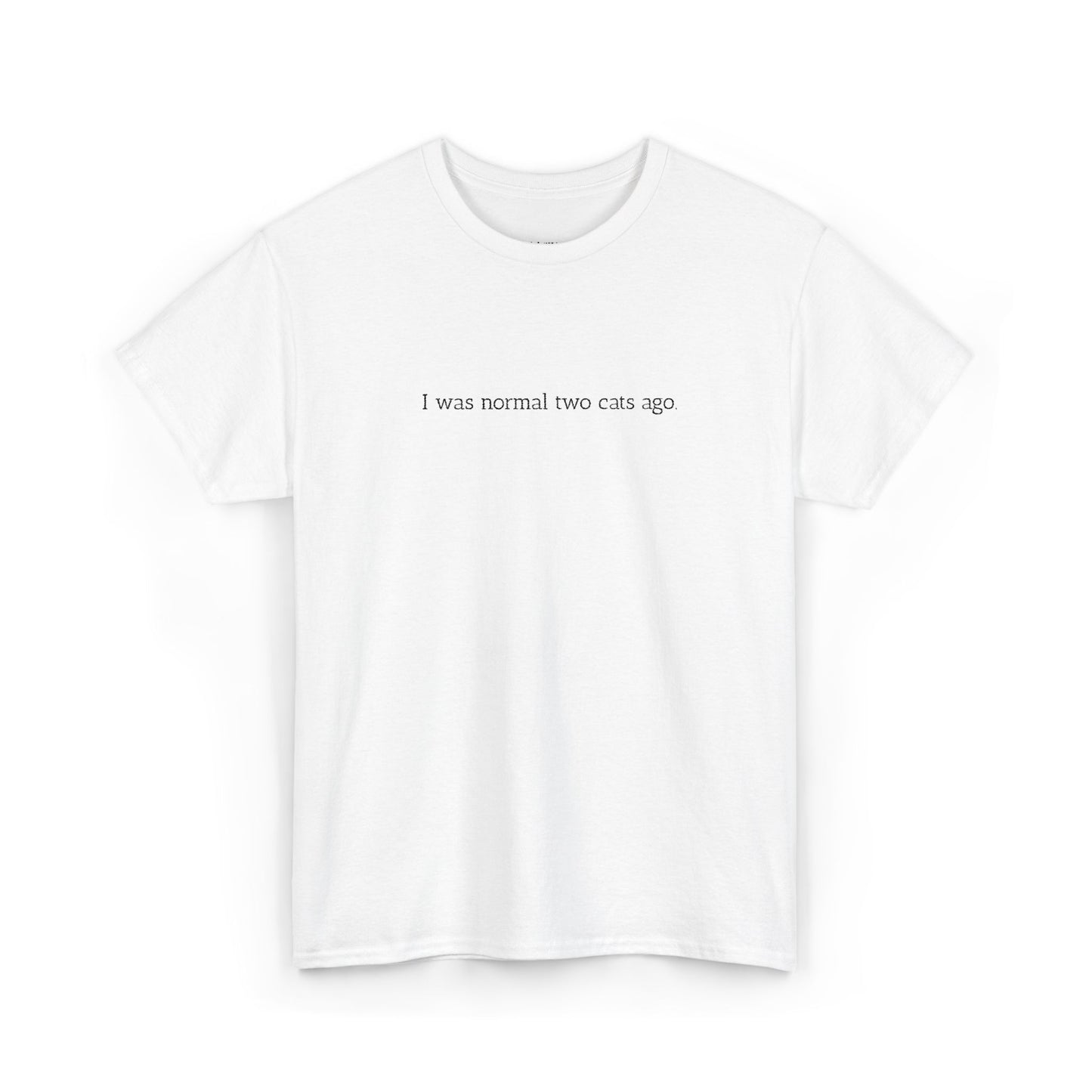 Unisex Heavy Cotton Tee