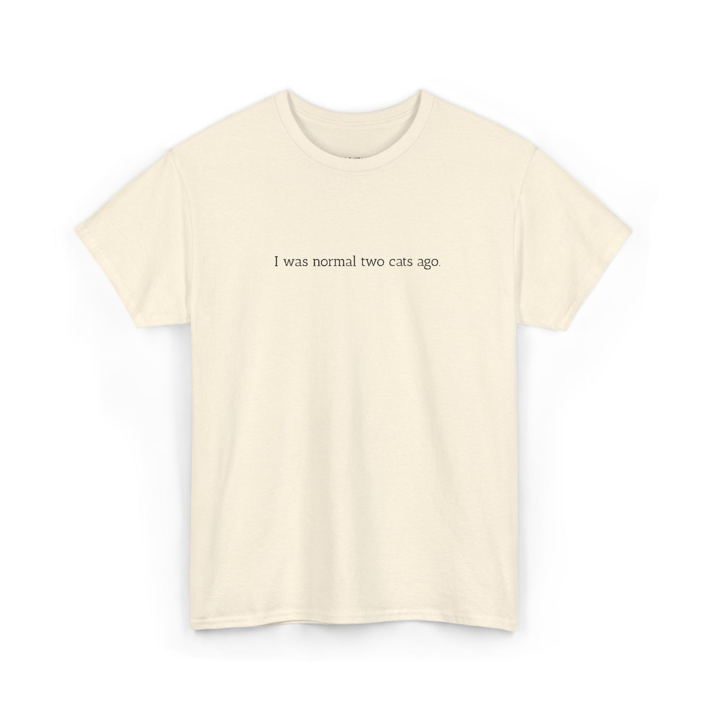 Unisex Heavy Cotton Tee