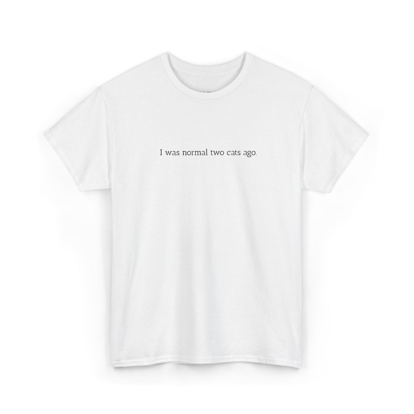 Unisex Heavy Cotton Tee