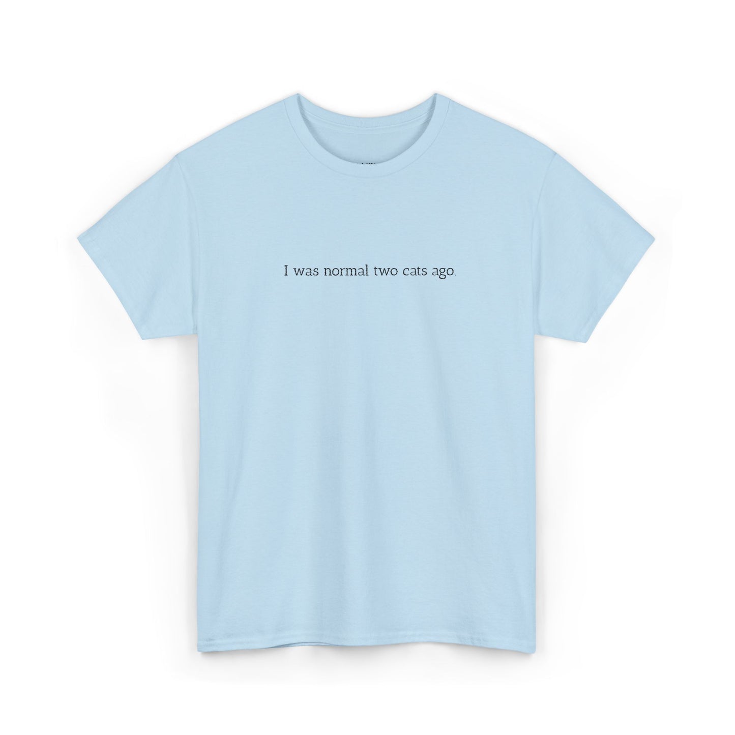 Unisex Heavy Cotton Tee