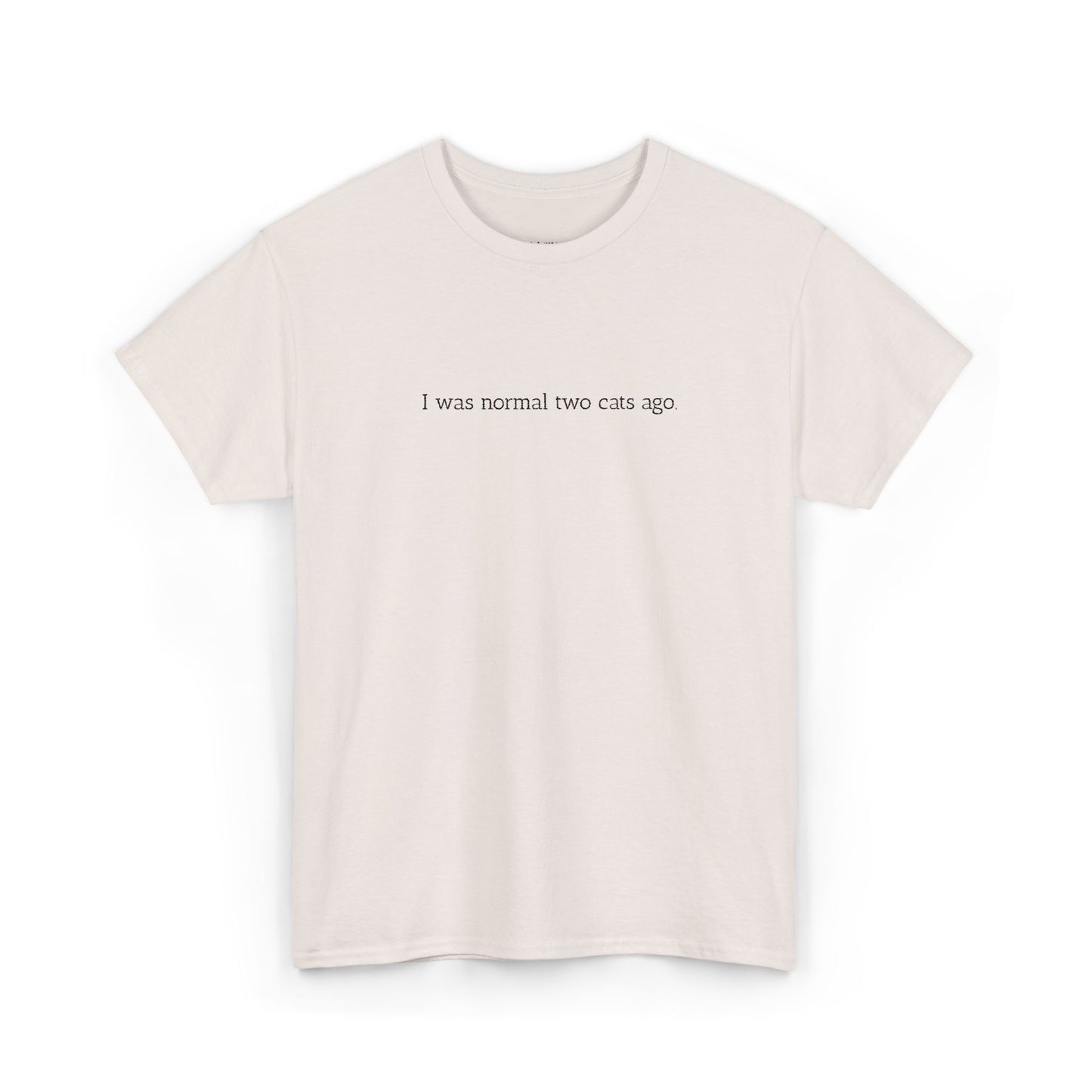 Unisex Heavy Cotton Tee