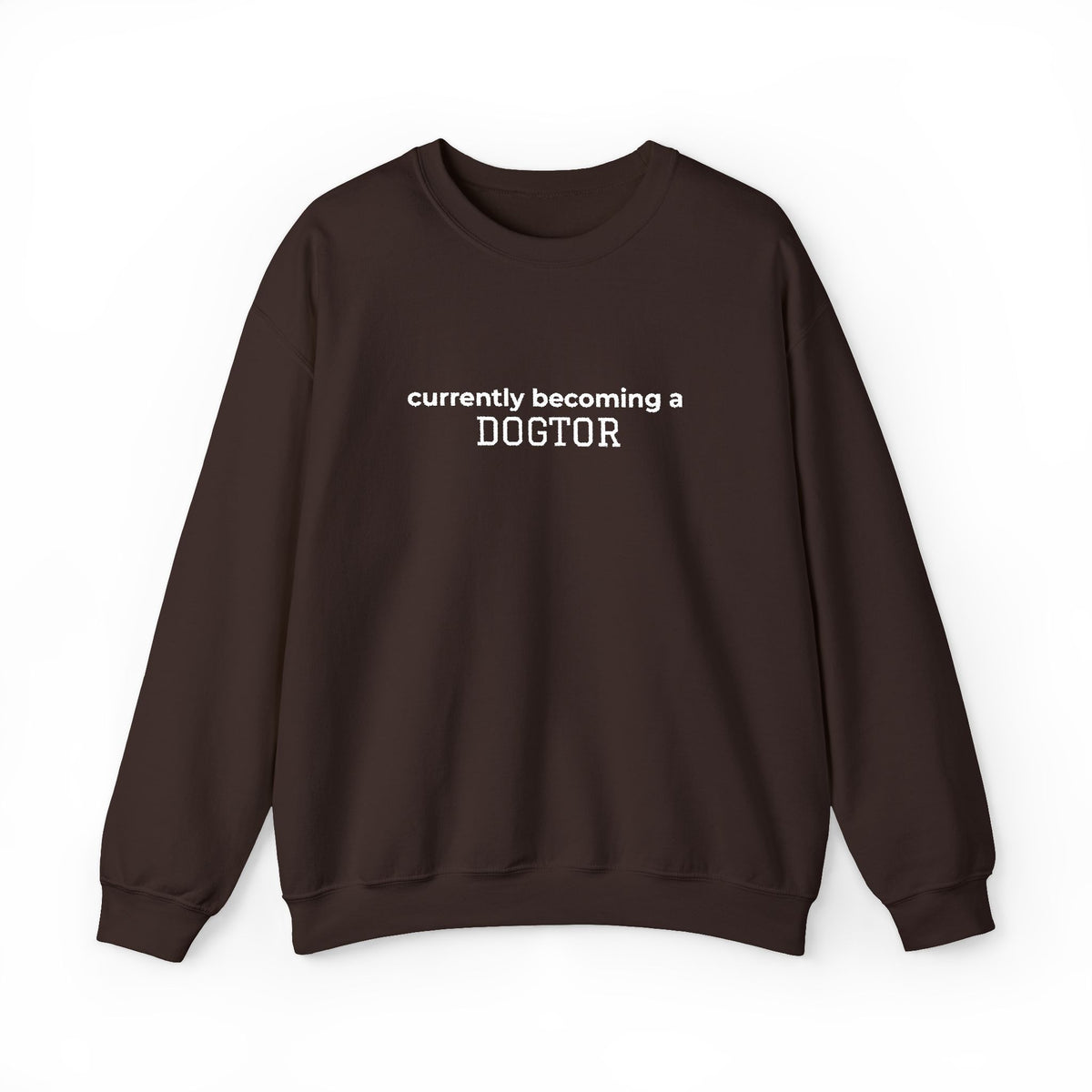 Currently Becoming a DOGTOR -Embroidery Sweatshirt