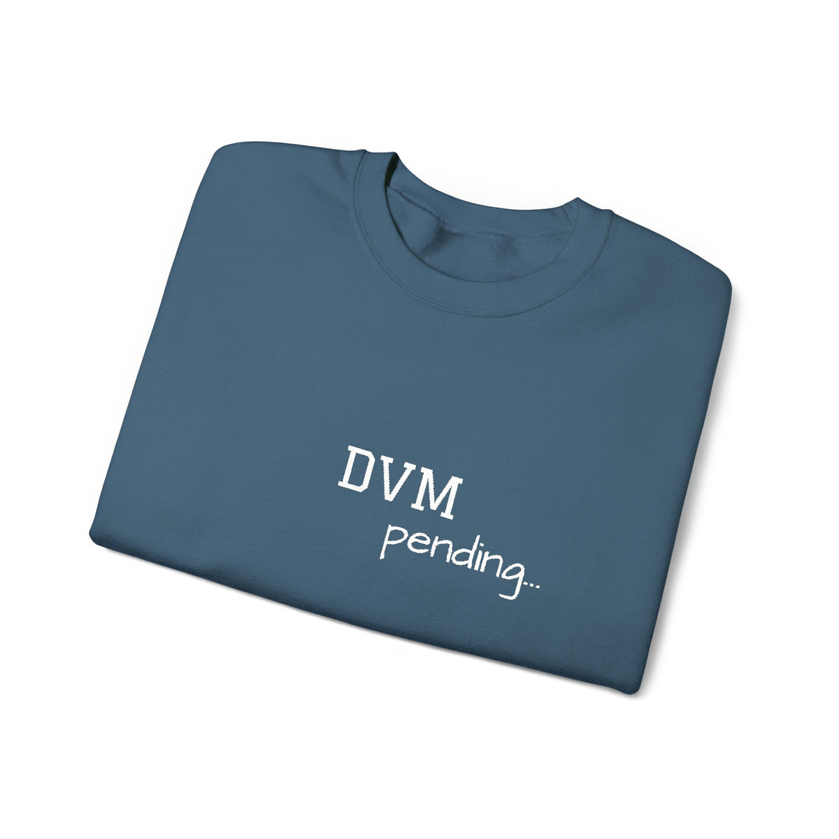DVM Pending - Embroidery Sweatshirt