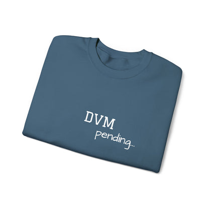 DVM Pending - Embroidery Sweatshirt