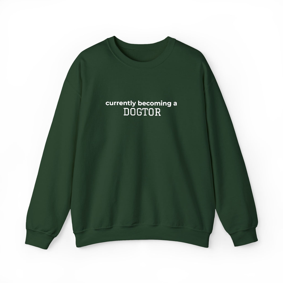 Currently Becoming a DOGTOR -Embroidery Sweatshirt