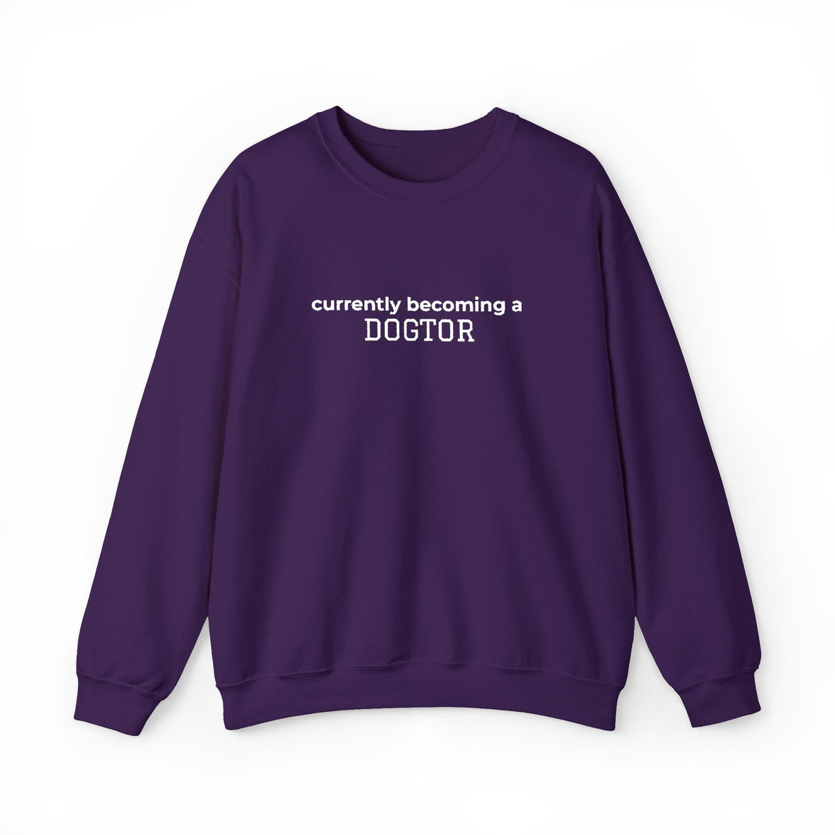 Currently Becoming a DOGTOR -Embroidery Sweatshirt