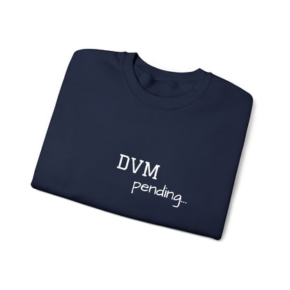 DVM Pending - Embroidery Sweatshirt